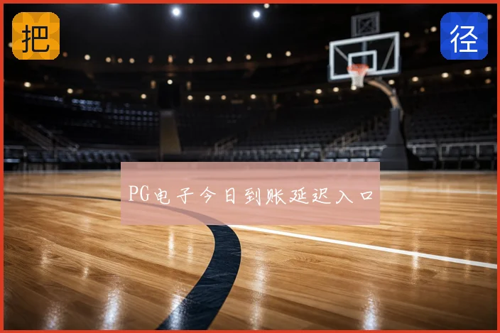 PG电子今日到账延迟入口